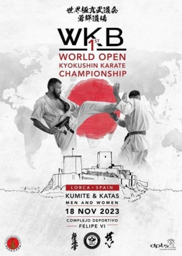 Imagen de The 1st Open World Kyokushin Karate Championship (WKB)