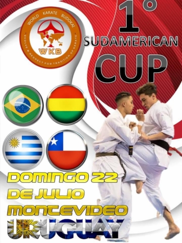 Imagen de The 1st SUDAMERICAN CUP