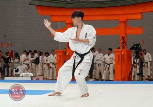 Imagen de The 1st WKB World Open Championship - Kata