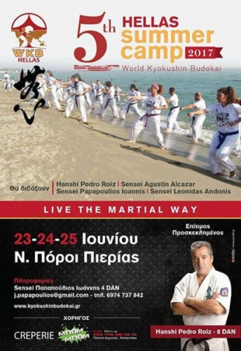 Imagen de 5th Hellas Summer Camp with Hanshi Pedro Roiz