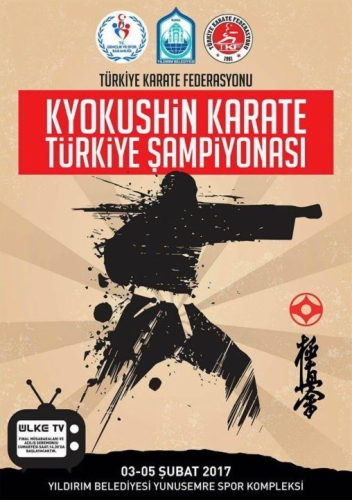Imagen de The Turkish Kyokushin Karate championship