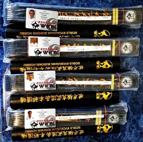Imagen de New black belts in WKB Romania