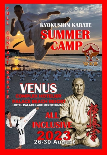 Imagen de Romanian Summer Camp 2023