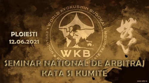 Imagen de Romanian national referee seminar