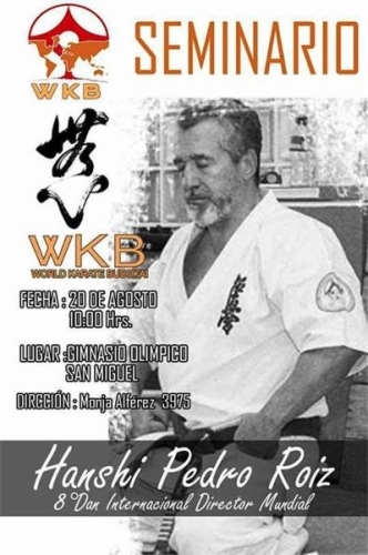 Imagen de Hanshi Pedro Roiz will hold a Seminar in Chile