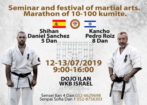 Imagen de Seminar Kancho Pedro Roiz and Festival of Martial Arts