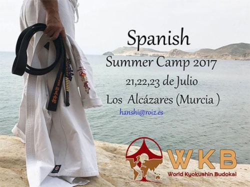 Imagen de Summer Camp with Hanshi Pedro Roiz