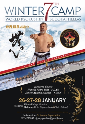 Imagen de Winter Camp with Hanshi Pedro Roiz