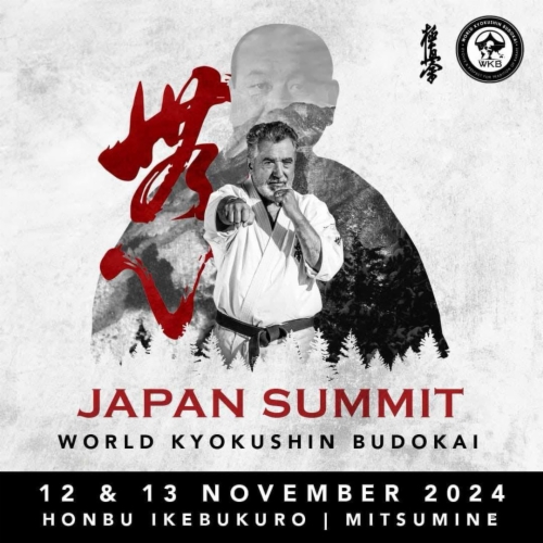 Imagen de WKB Japan Summit