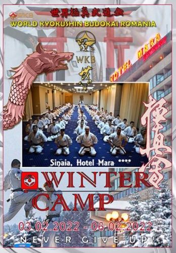 Imagen de Romanian winter camp 2022