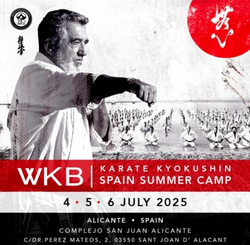 Imagen de Spanish Summer Camp 2025 with Kancho Pedro Roiz